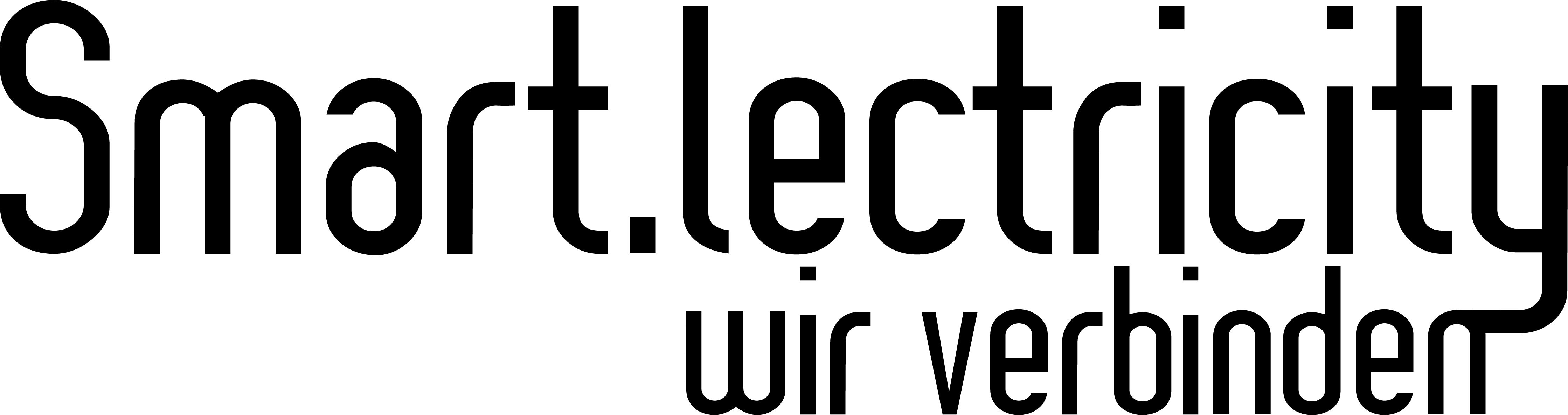 Logo-Schwab-komplett_Logo-komplett-02